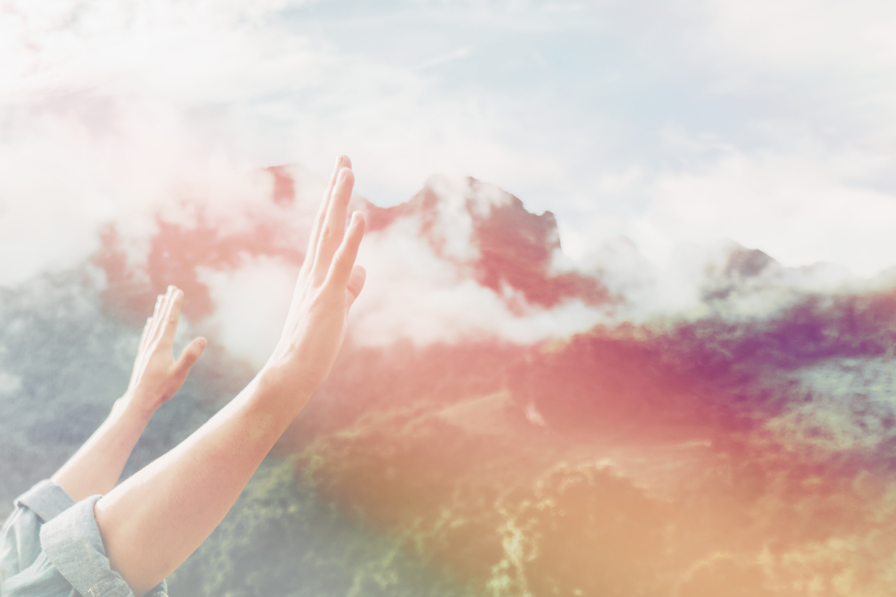 Ladies Prayer Meeting